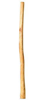 Ironbark Didgeridoo (IB289)